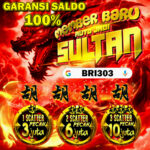 LOGIN BRI303